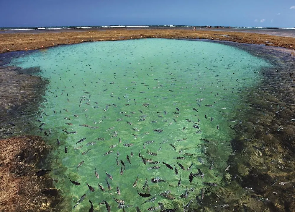 Hotel Pousada Vivenda Dos Arrecifes Pôrto das Galinhas